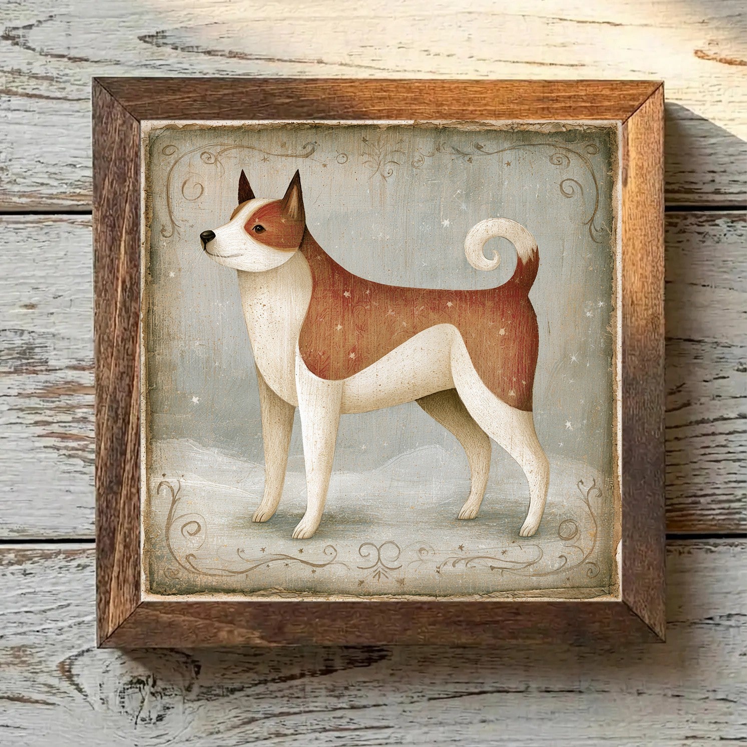 Akita Pinto - Variation 4