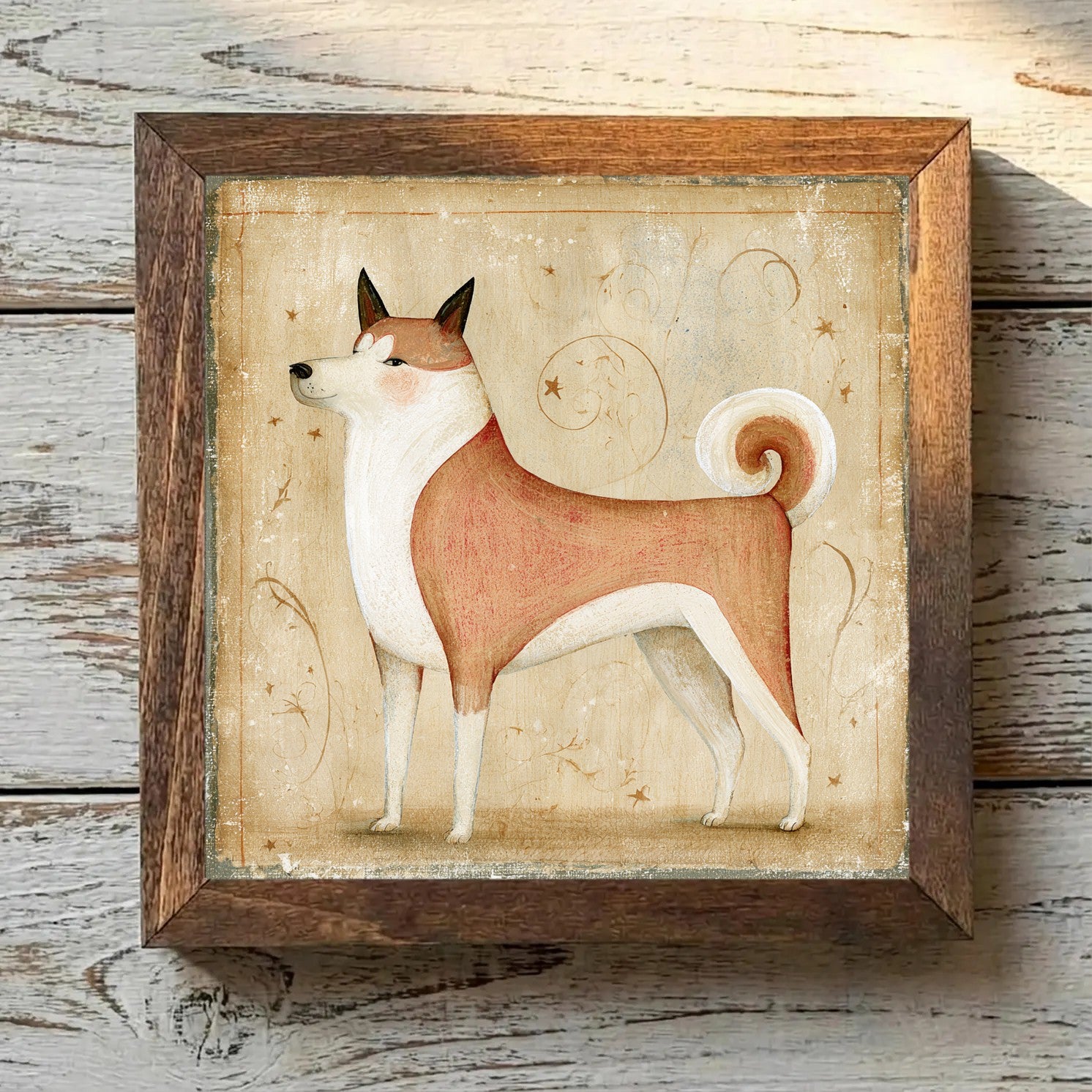 Akita Red Fawn - Variation 3
