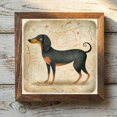 American Foxhound Black & Tan - Variation 1