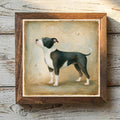 American Staffordshire Terrier - Black
  & White Black & White - Variation 1