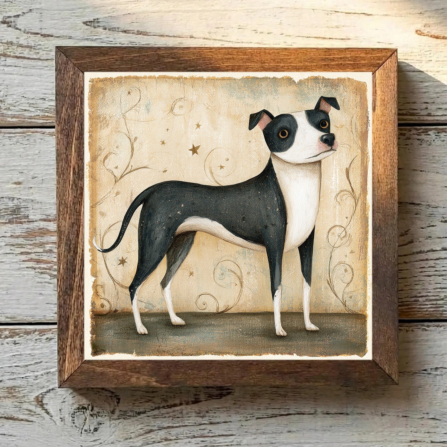 American Staffordshire Terrier - Black
  & White Black & White - Variation 2