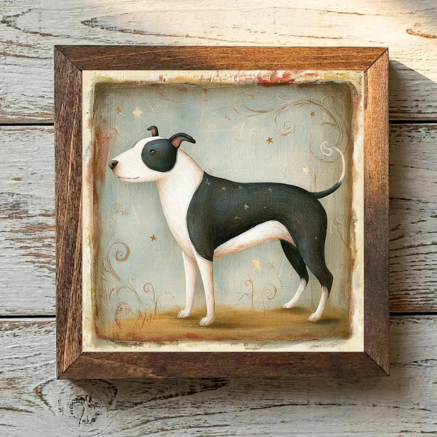 American Staffordshire Terrier - Black
  & White Black & White - Variation 3
