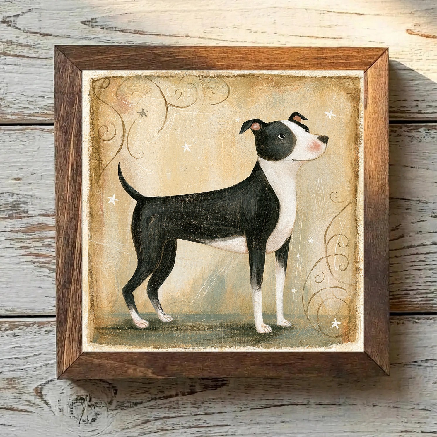 American Staffordshire Terrier - Black
  & White Black & White - Variation 4