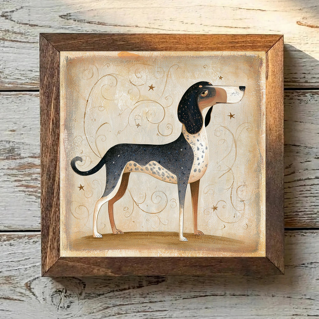 American English Coonhound Bluetick - Variation 1