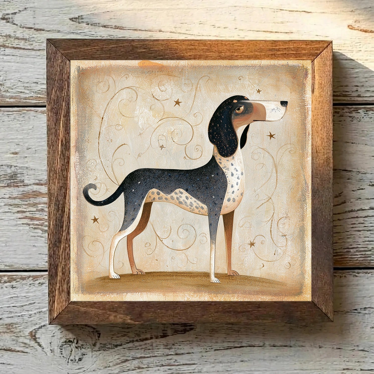 American English Coonhound Bluetick - Variation 1