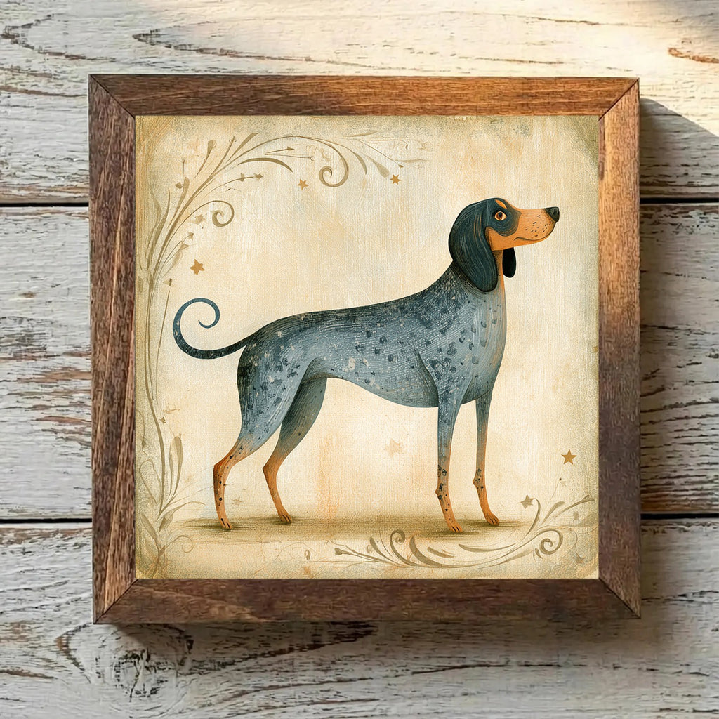 American English Coonhound Bluetick - Variation 3
