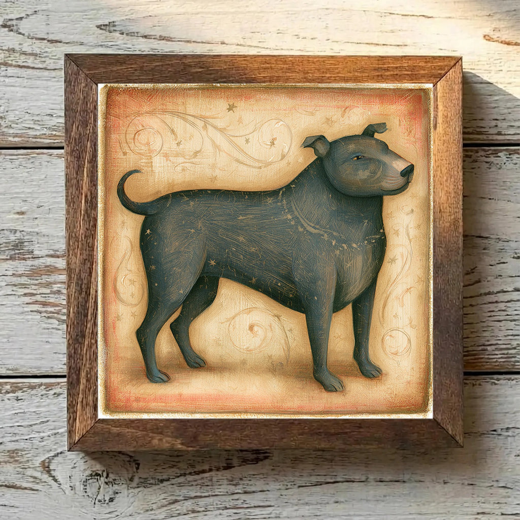 American Staffordshire Terrier Brindle - Variation 1
