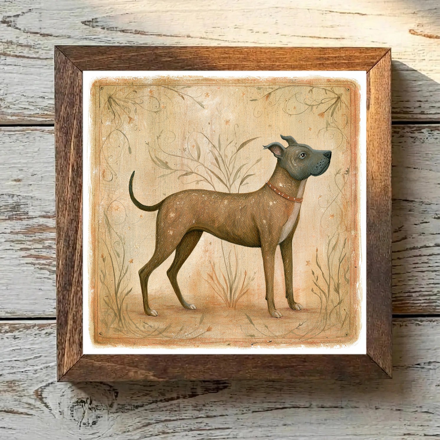 American Staffordshire Terrier Brindle - Variation 4