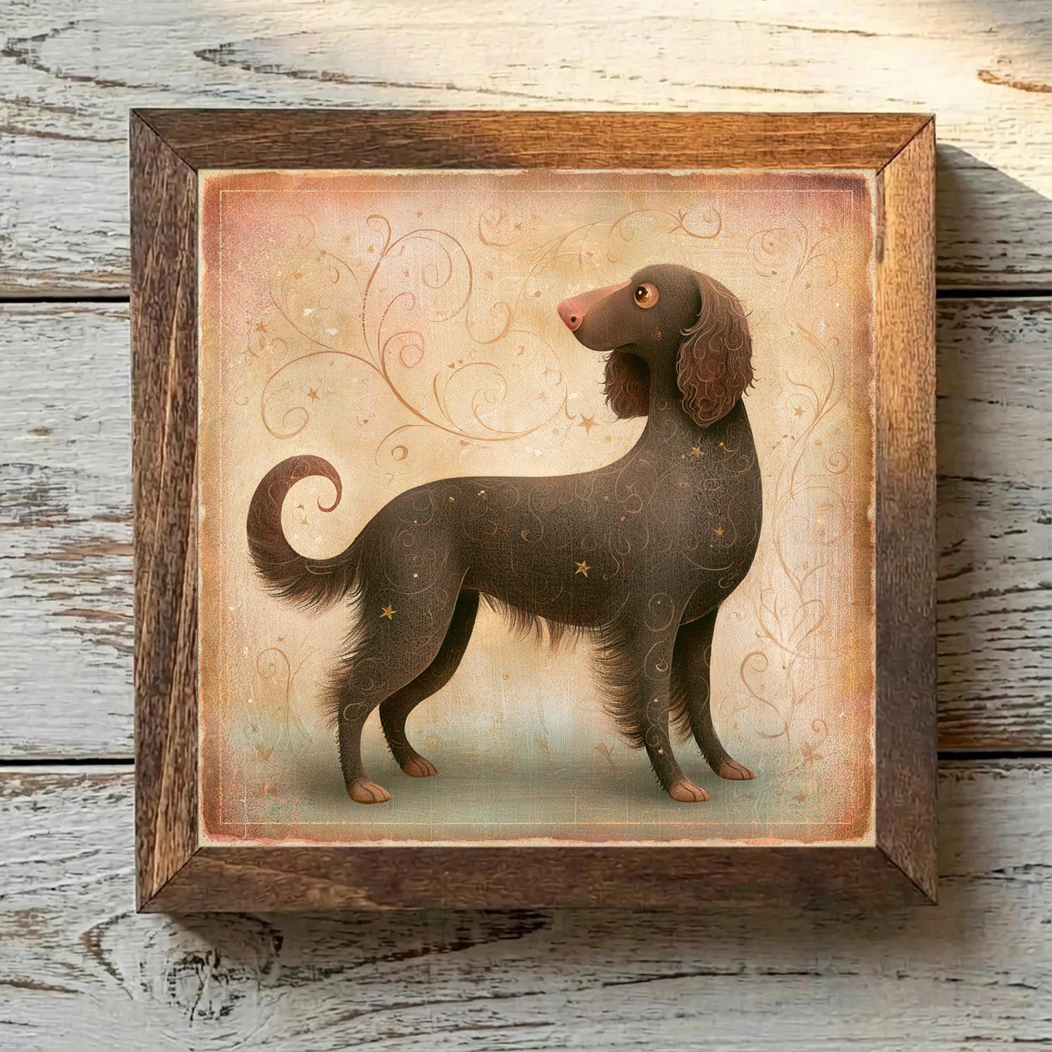 American Water Spaniel Dark Chocolate - Variation 1