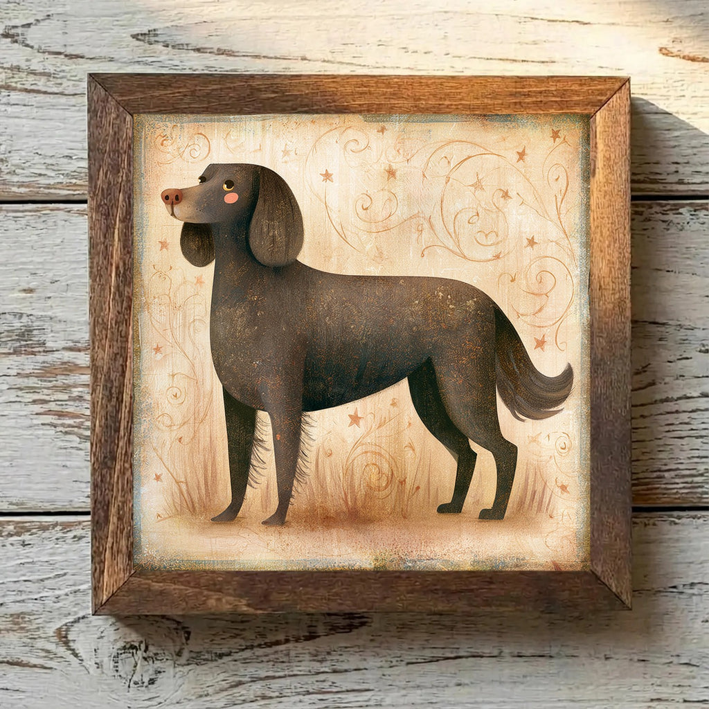 American Water Spaniel Dark Chocolate - Variation 2