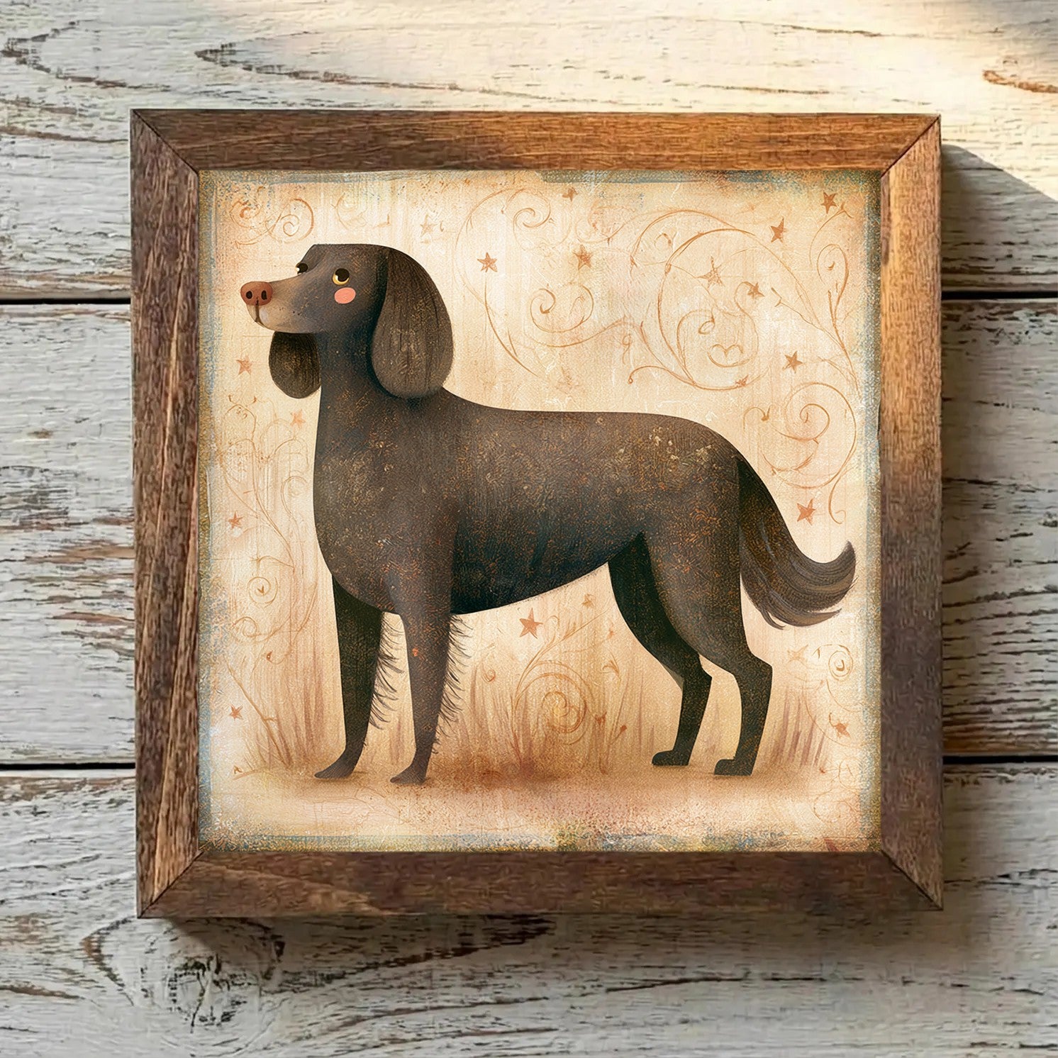American Water Spaniel Dark Chocolate - Variation 2