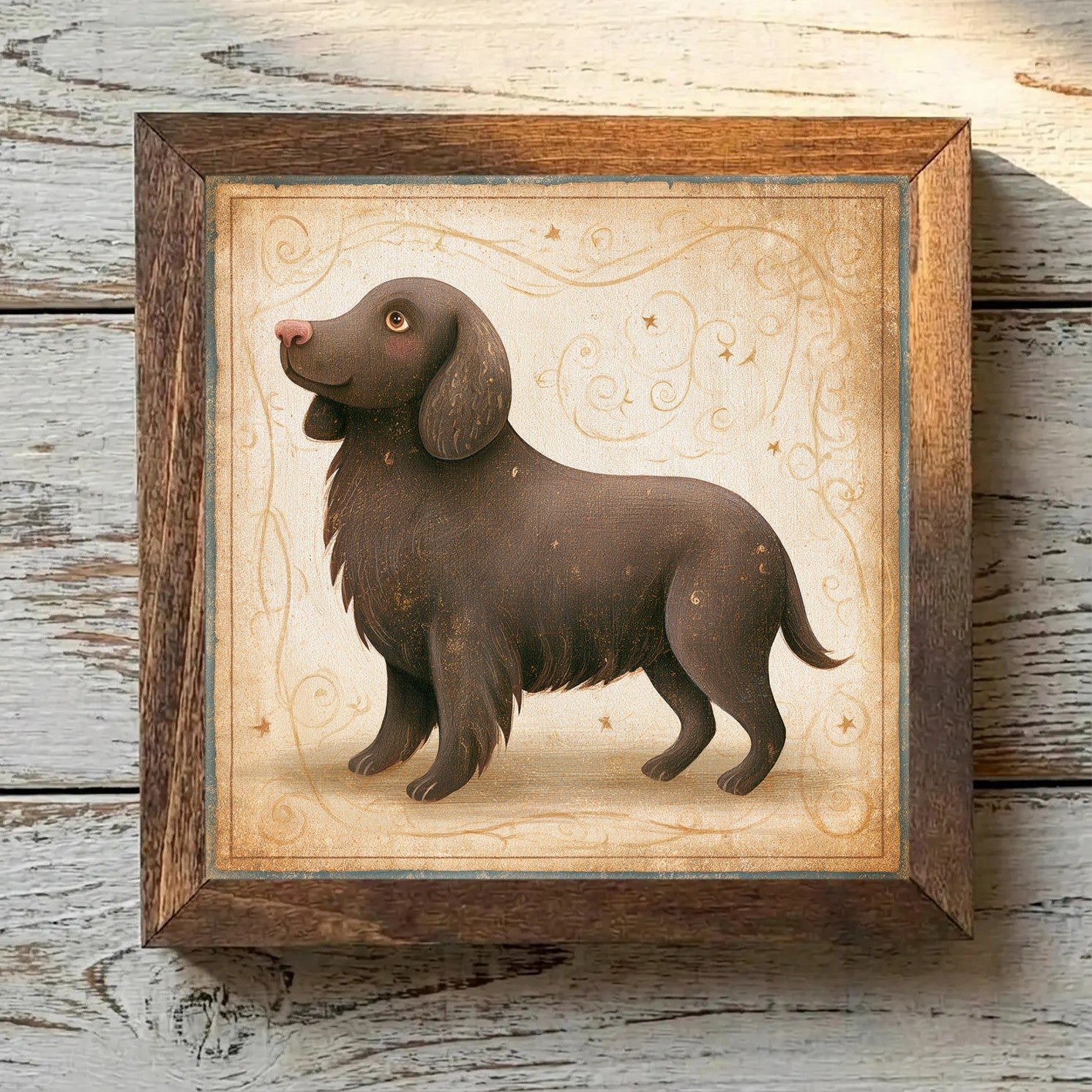 American Water Spaniel Dark Chocolate - Variation 3