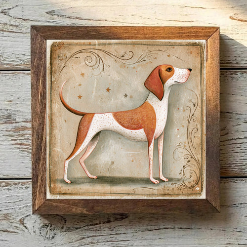 American English Coonhound Red & White - Variation 1