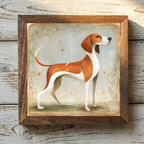 American English Coonhound Red & White - Variation 2