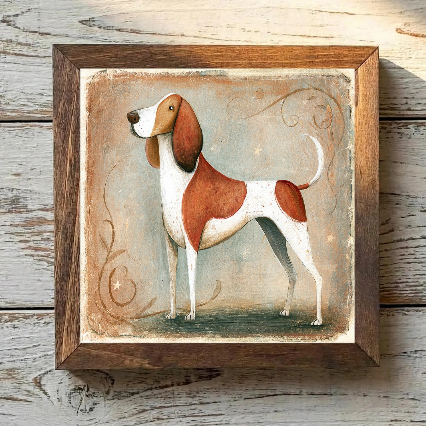 American English Coonhound Red & White - Variation 3