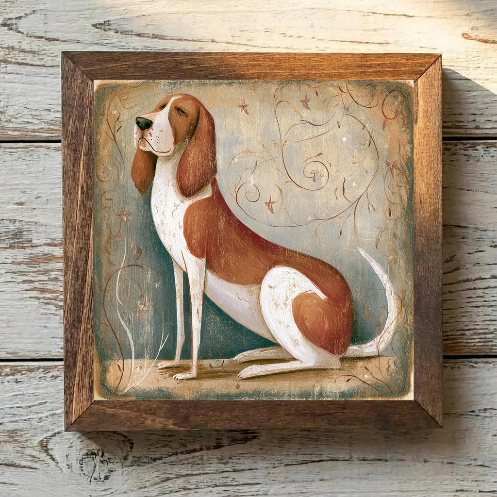 American English Coonhound Red & White - Variation 4