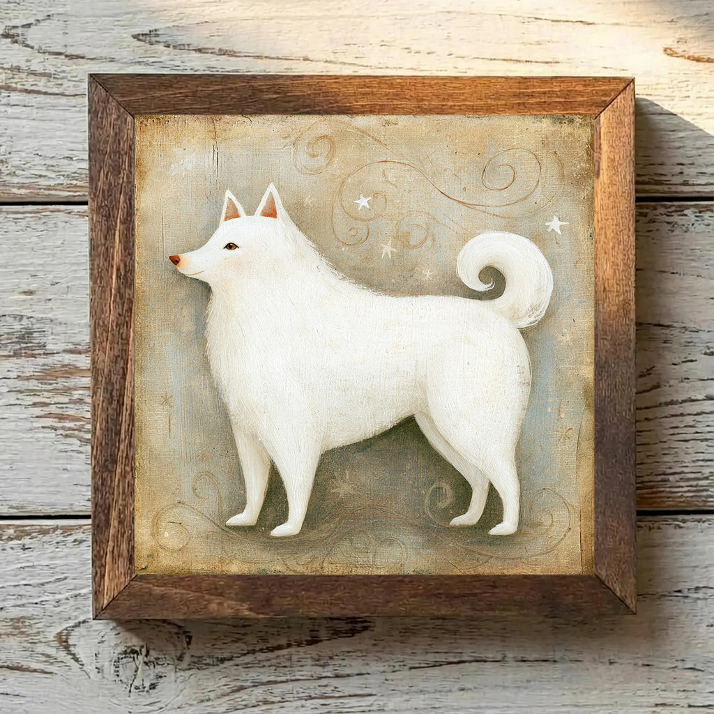 American Eskimo Dog White - Variation 1