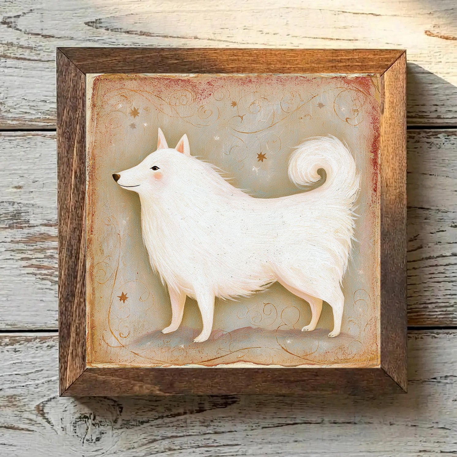 American Eskimo Dog White - Variation 2