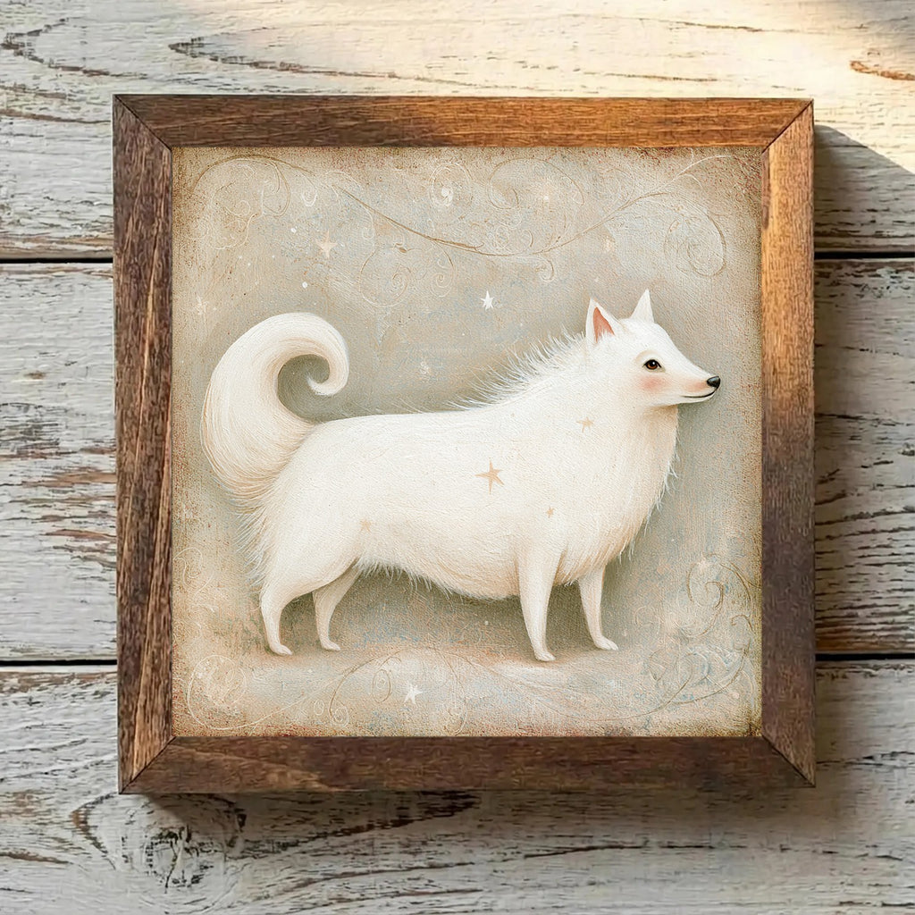 American Eskimo Dog White - Variation 3