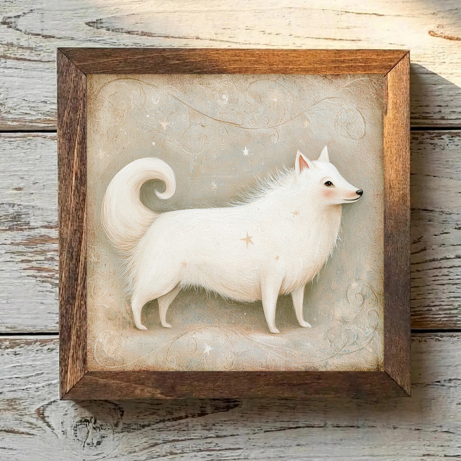 American Eskimo Dog White - Variation 3