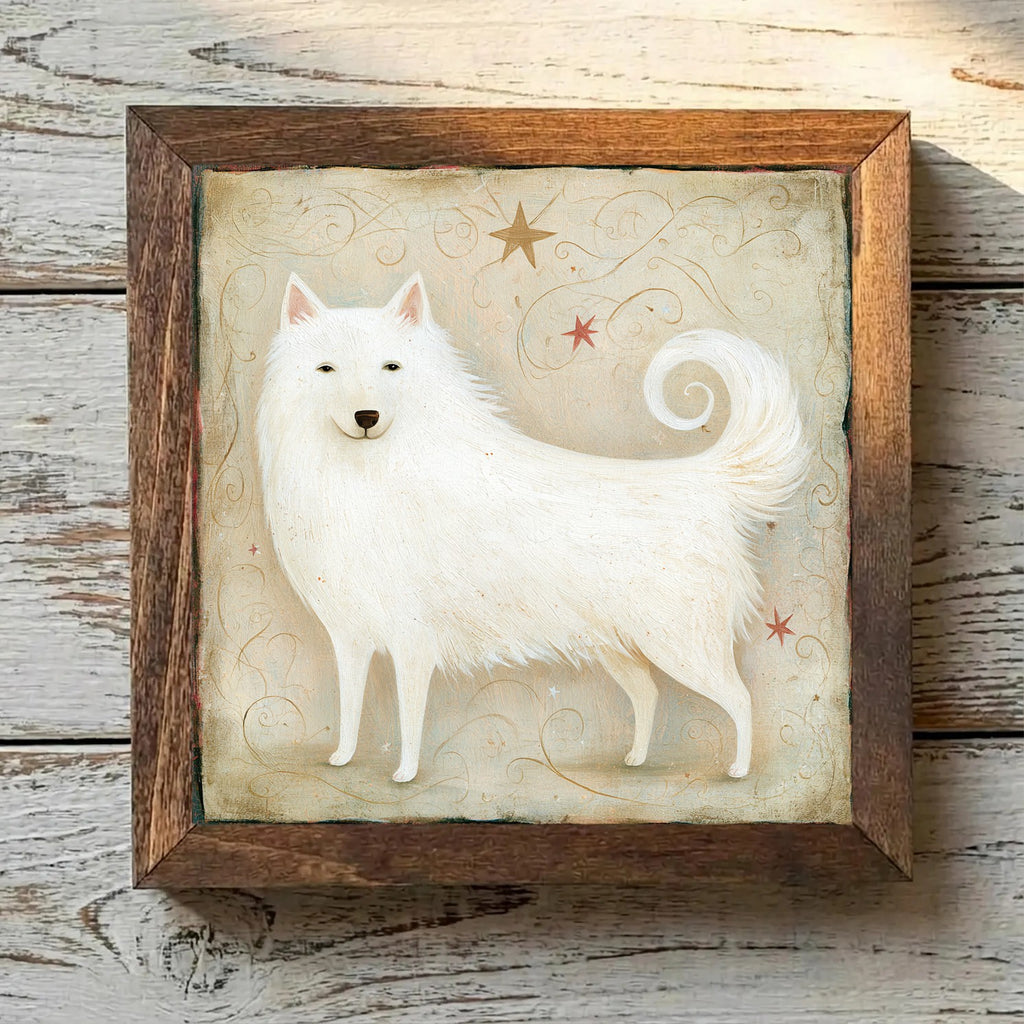 American Eskimo Dog White - Variation 4