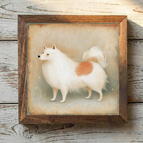 American Eskimo Dog White & Biscuit - Variation 2