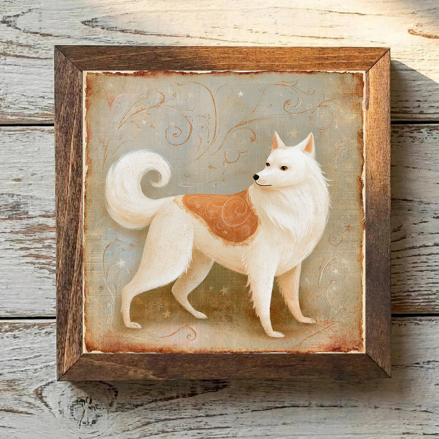 American Eskimo Dog White & Biscuit - Variation 3