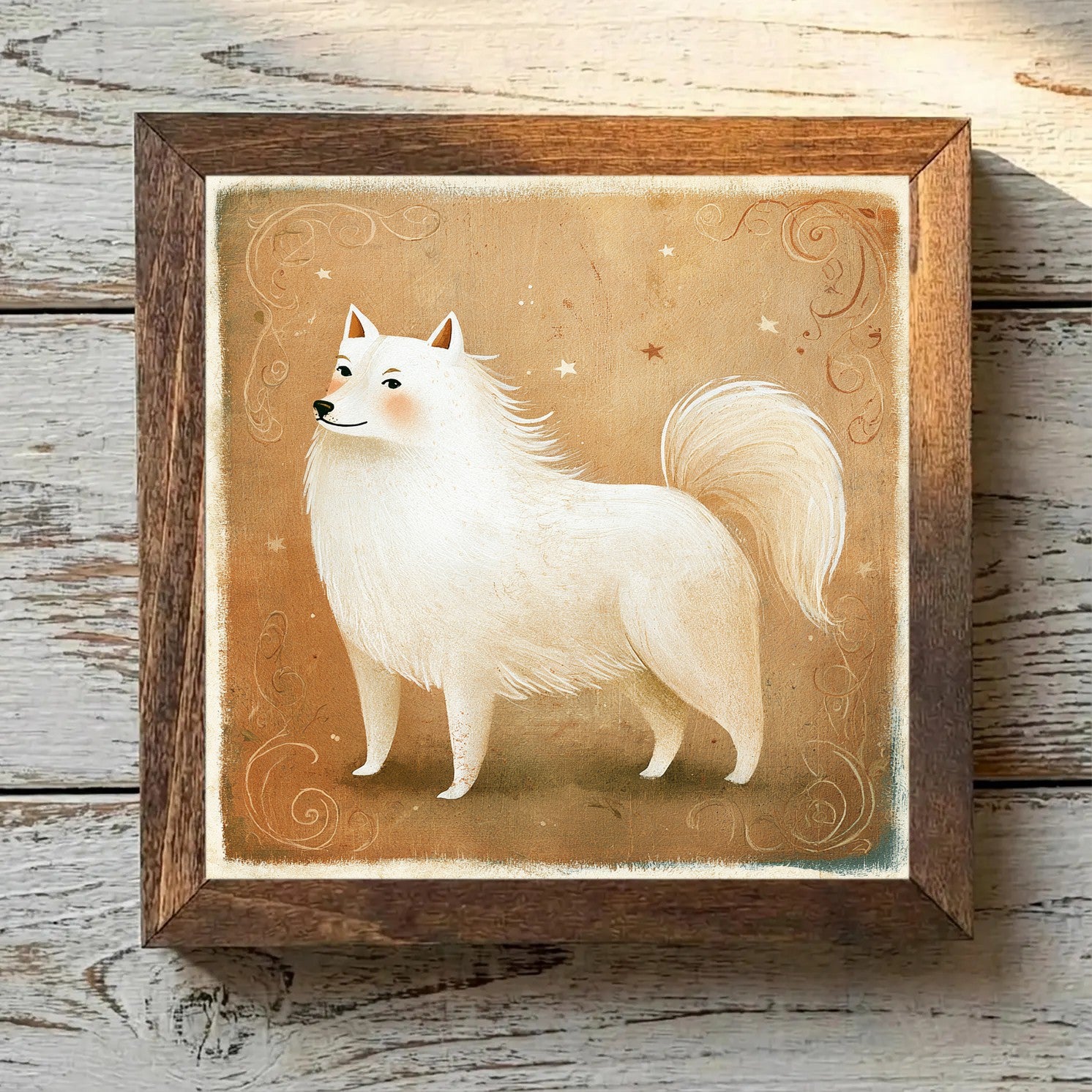 American Eskimo Dog White & Biscuit - Variation 4