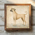 Anatolian Shepherd Dog Liver - Variation 1