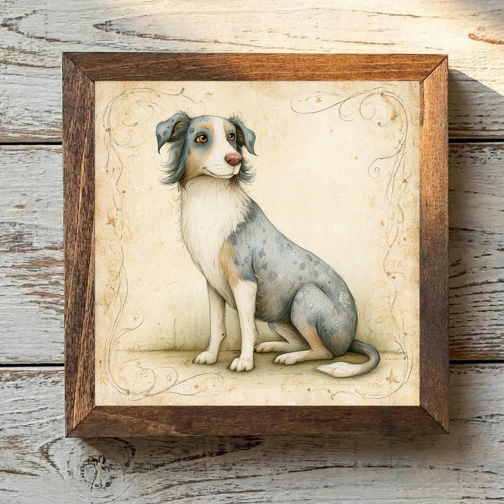 Australian Shepherd Blue Merle - Variation 4
