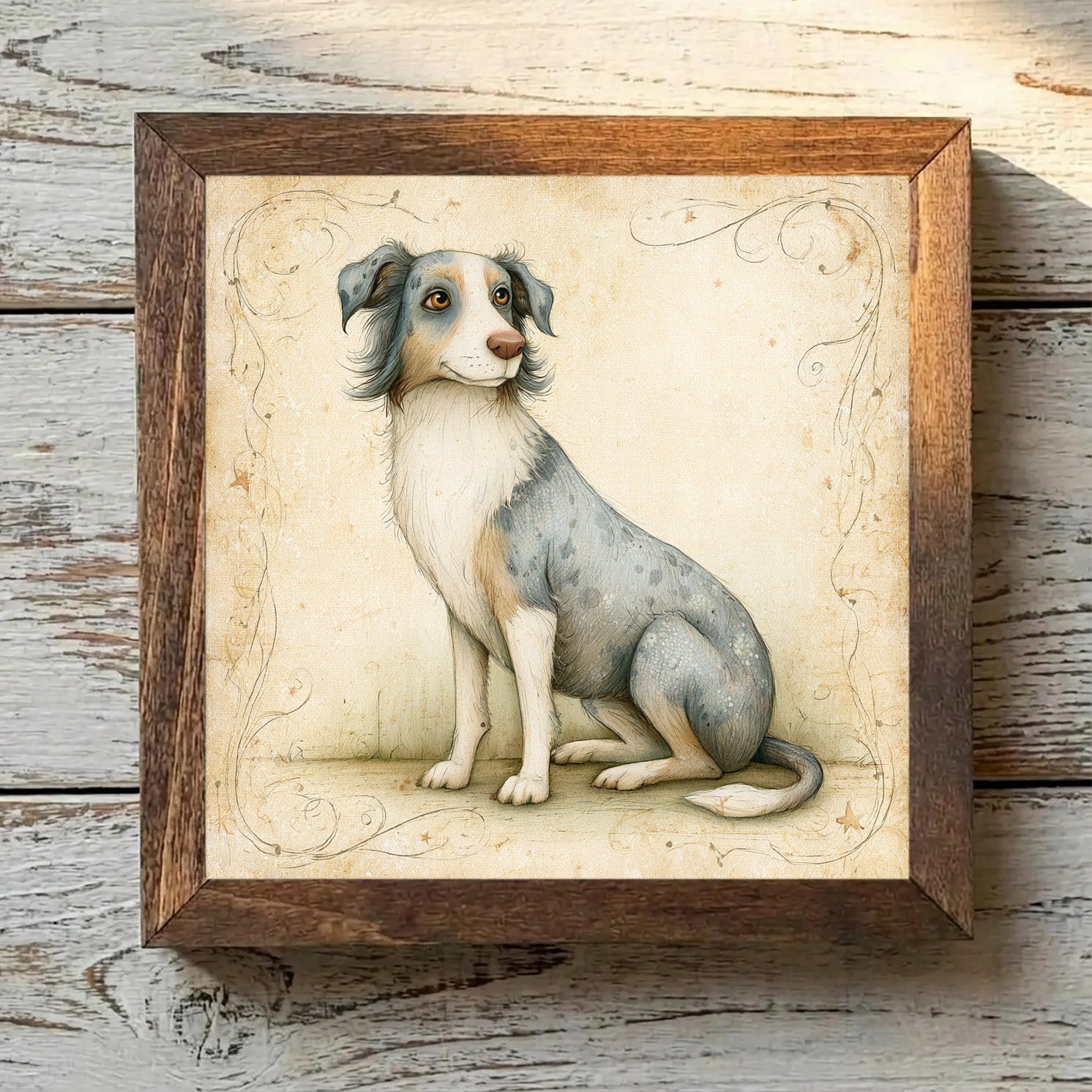 Australian Shepherd Blue Merle - Variation 4
