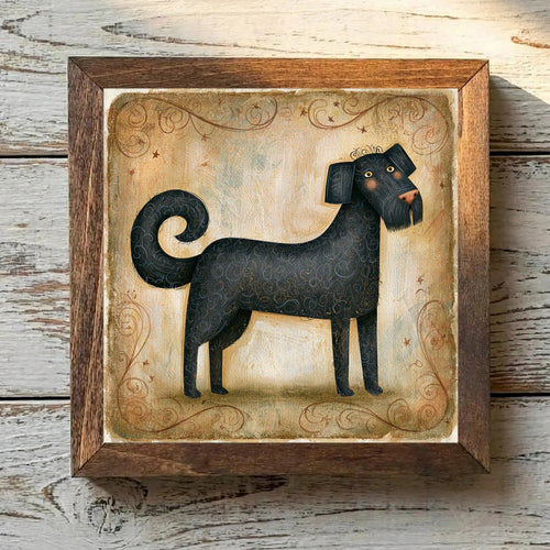 Barbet Black - Variation 1