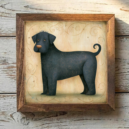 Barbet Black - Variation 2