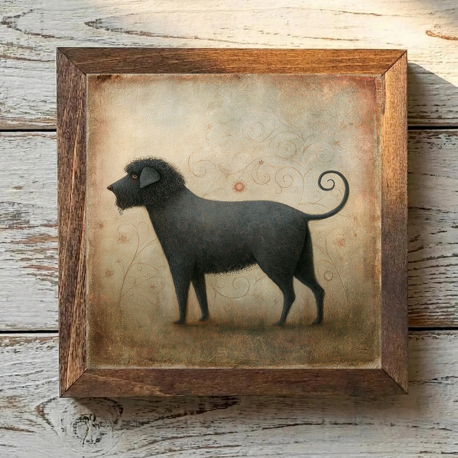 Barbet Black - Variation 3