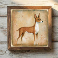 Basenji Brindle - Variation 1