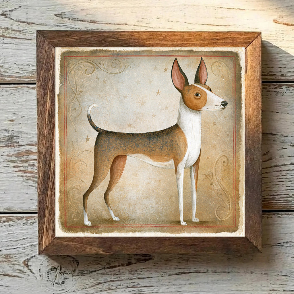 Basenji Brindle - Variation 4