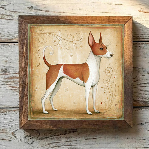Basenji Chestnut Red - Variation 1