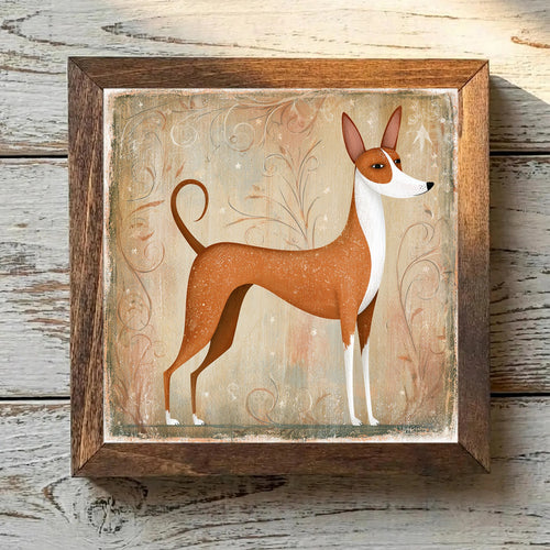 Basenji Chestnut Red - Variation 2