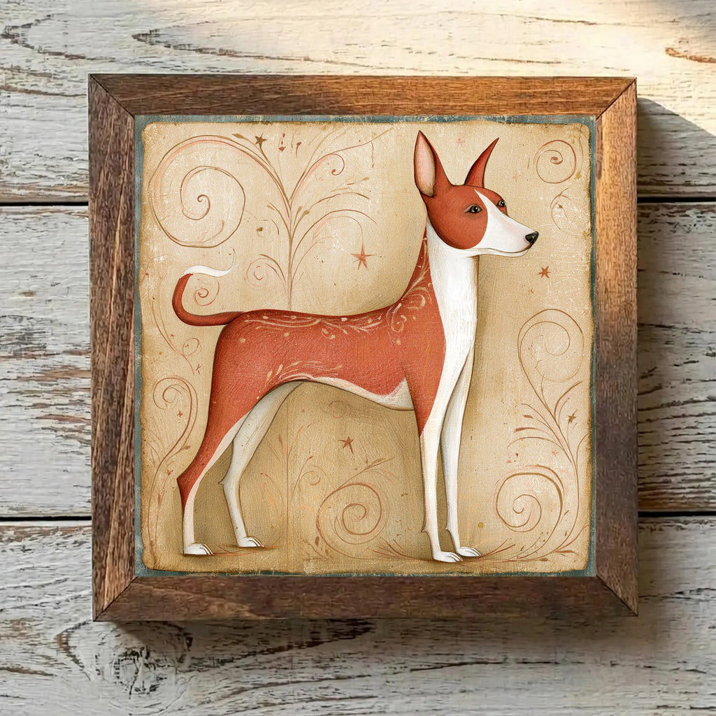 Basenji Chestnut Red - Variation 3