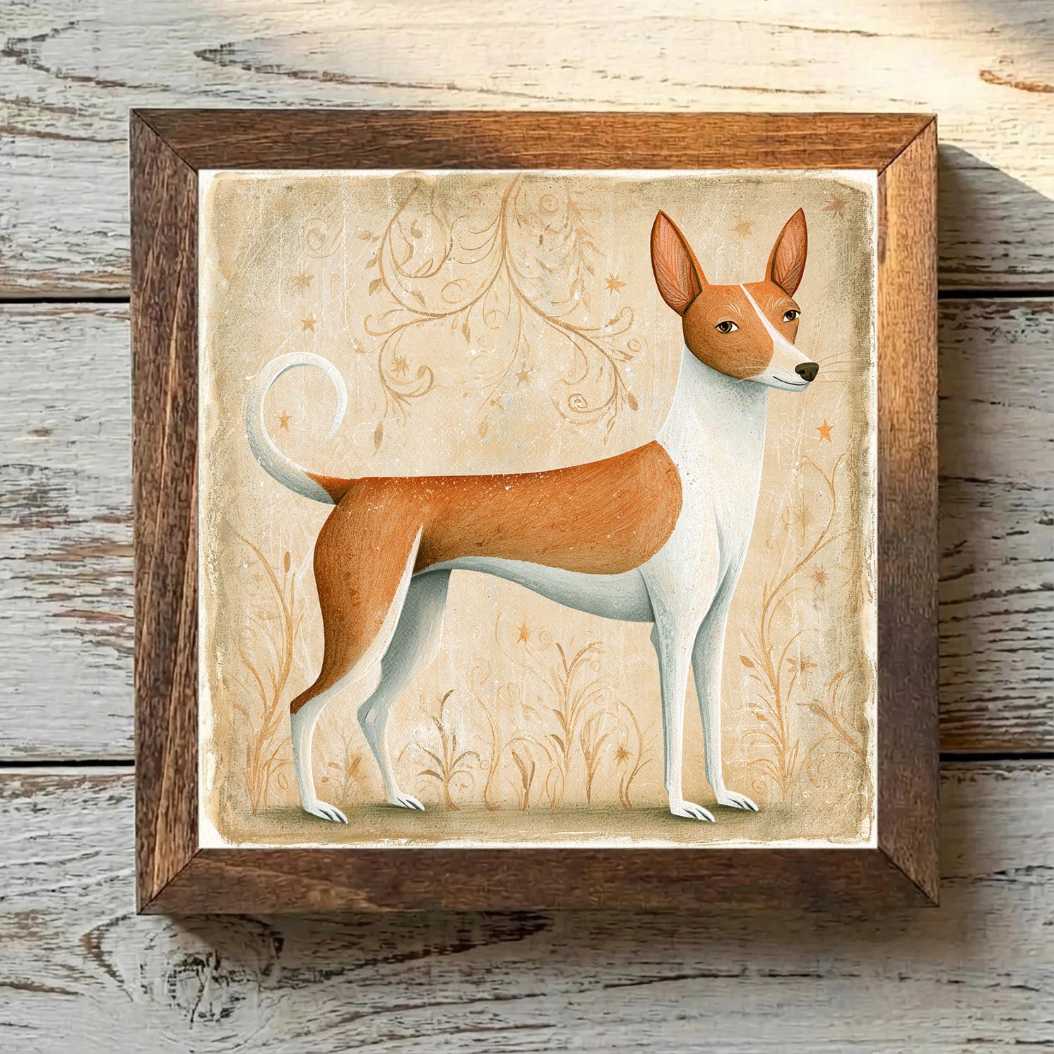 Basenji Chestnut Red - Variation 4