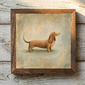 Basset Fauve de Bretagne Red-Wheaten - Variation 1