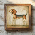 Beagle Tricolor - Variation 1
