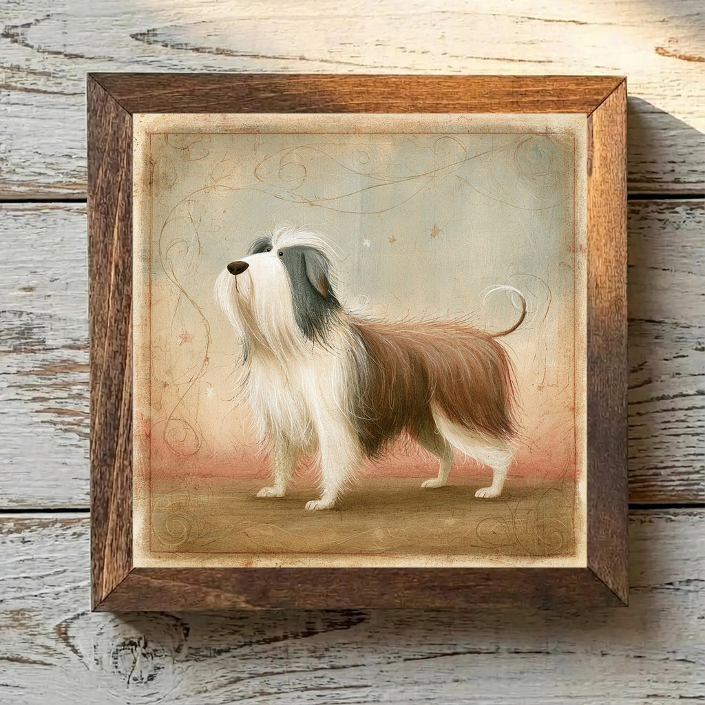 Bearded Collie Brown - Variation 2