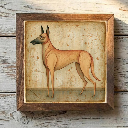 Belgian Malinois Fawn - Variation 2