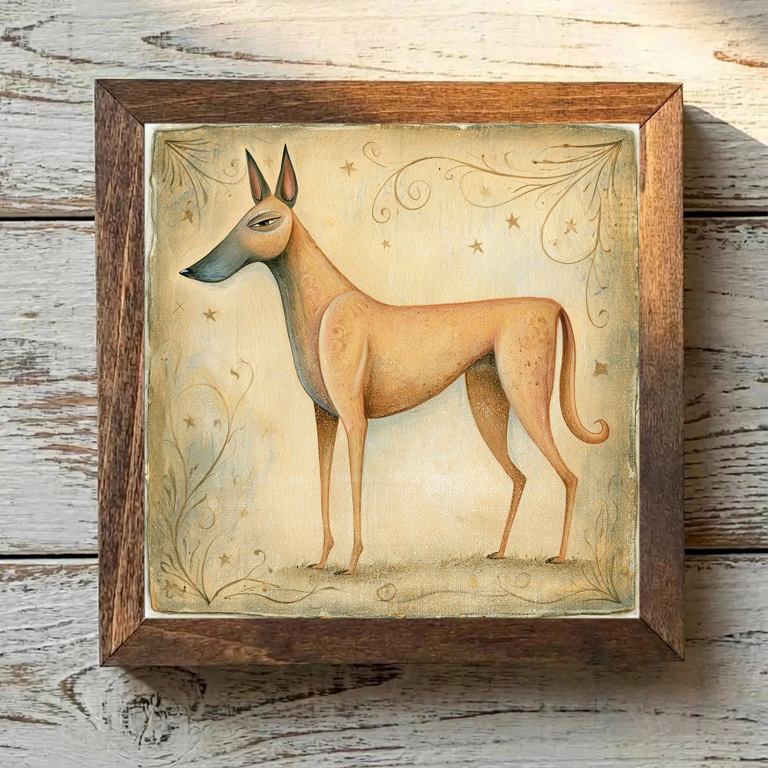 Belgian Malinois Fawn - Variation 4