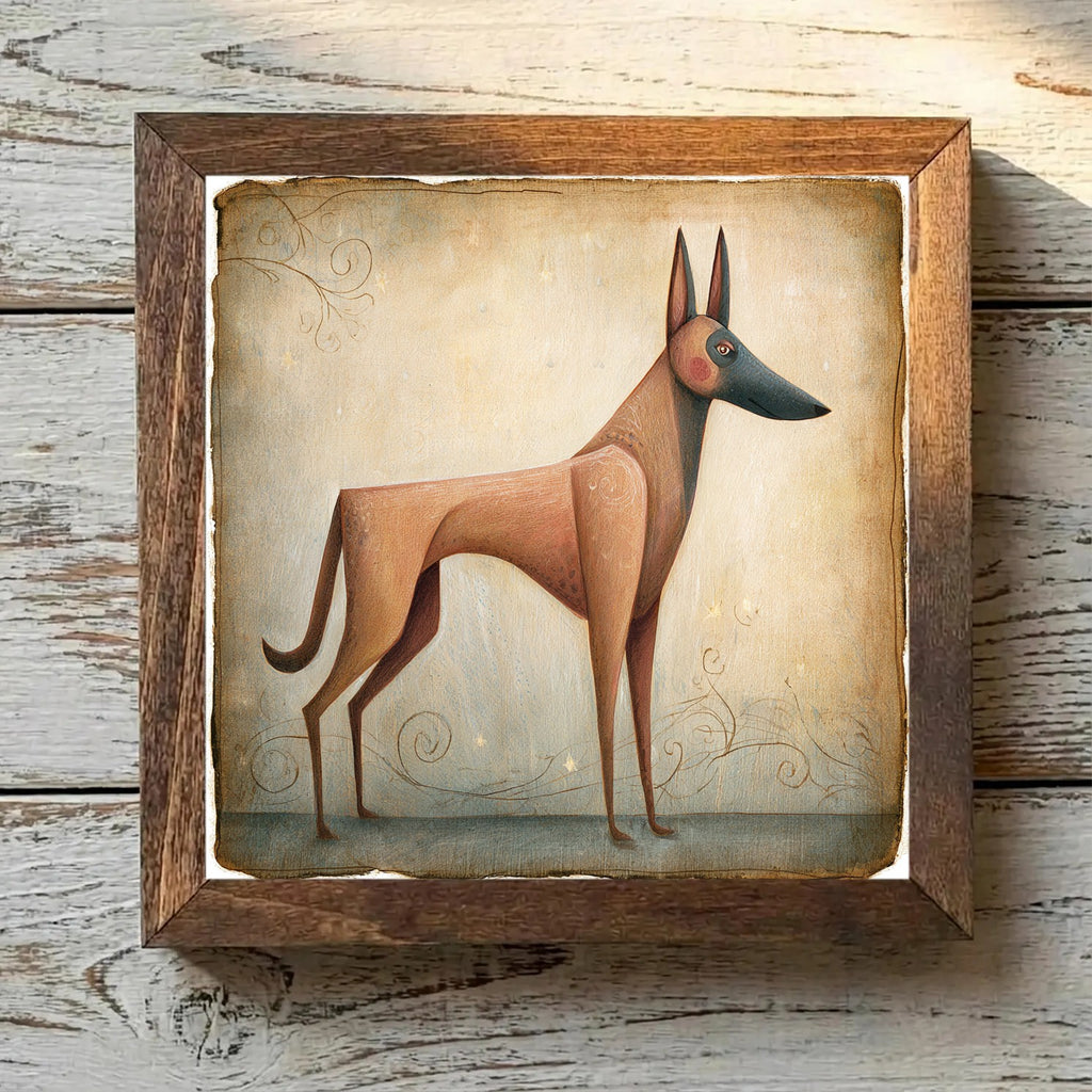 Belgian Malinois Mahogany - Variation 2