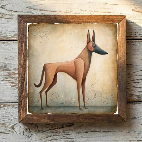 Belgian Malinois Mahogany - Variation 2
