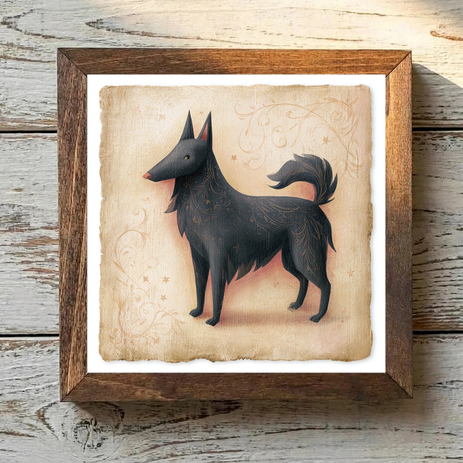 Belgian Sheepdog Black - Variation 3