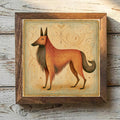 Belgian Tervuren Russet Mahogany - Variation 1