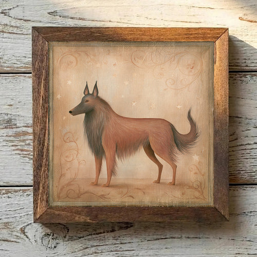 Belgian Tervuren Russet Mahogany - Variation 2